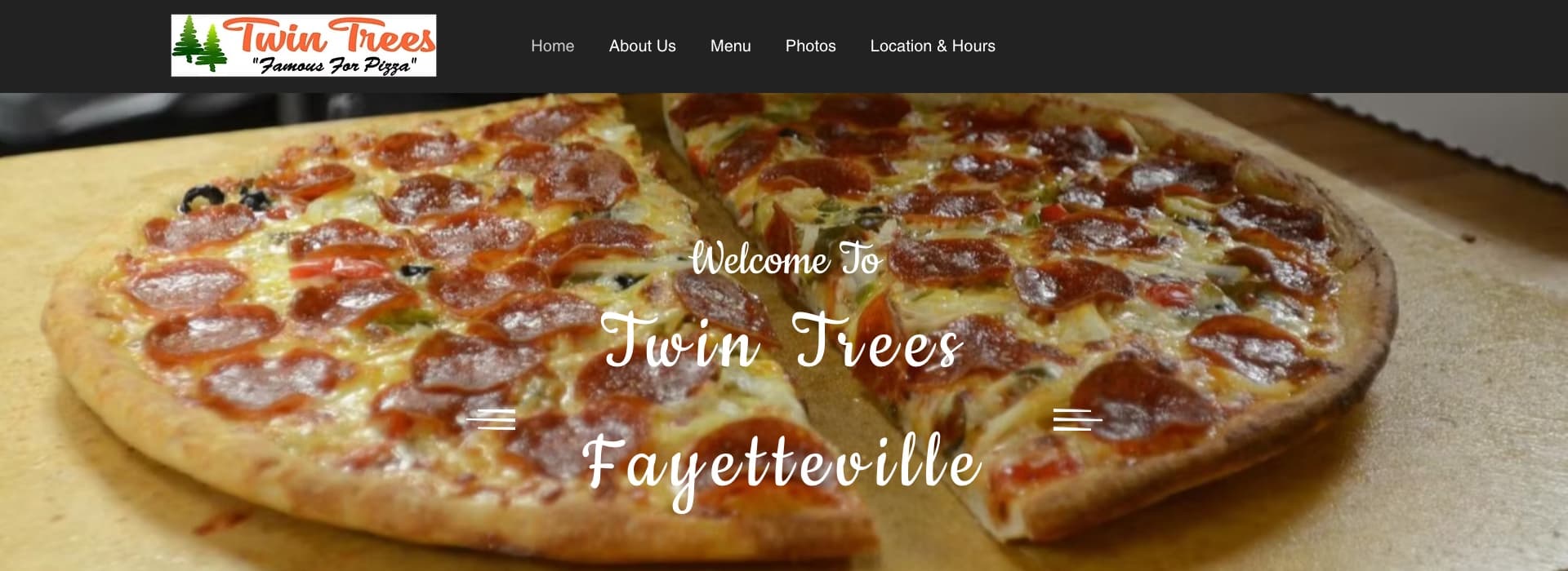Twin Trees Fayetteville website before redesign